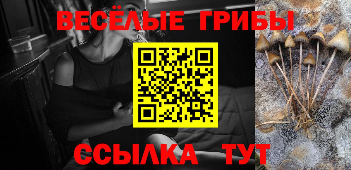 Псилоцибиновые грибы MAGIC MUSHROOMS  Вход с VPN  Галлюциногенные грибы GOLDEN TEACHER  Арсеньев 